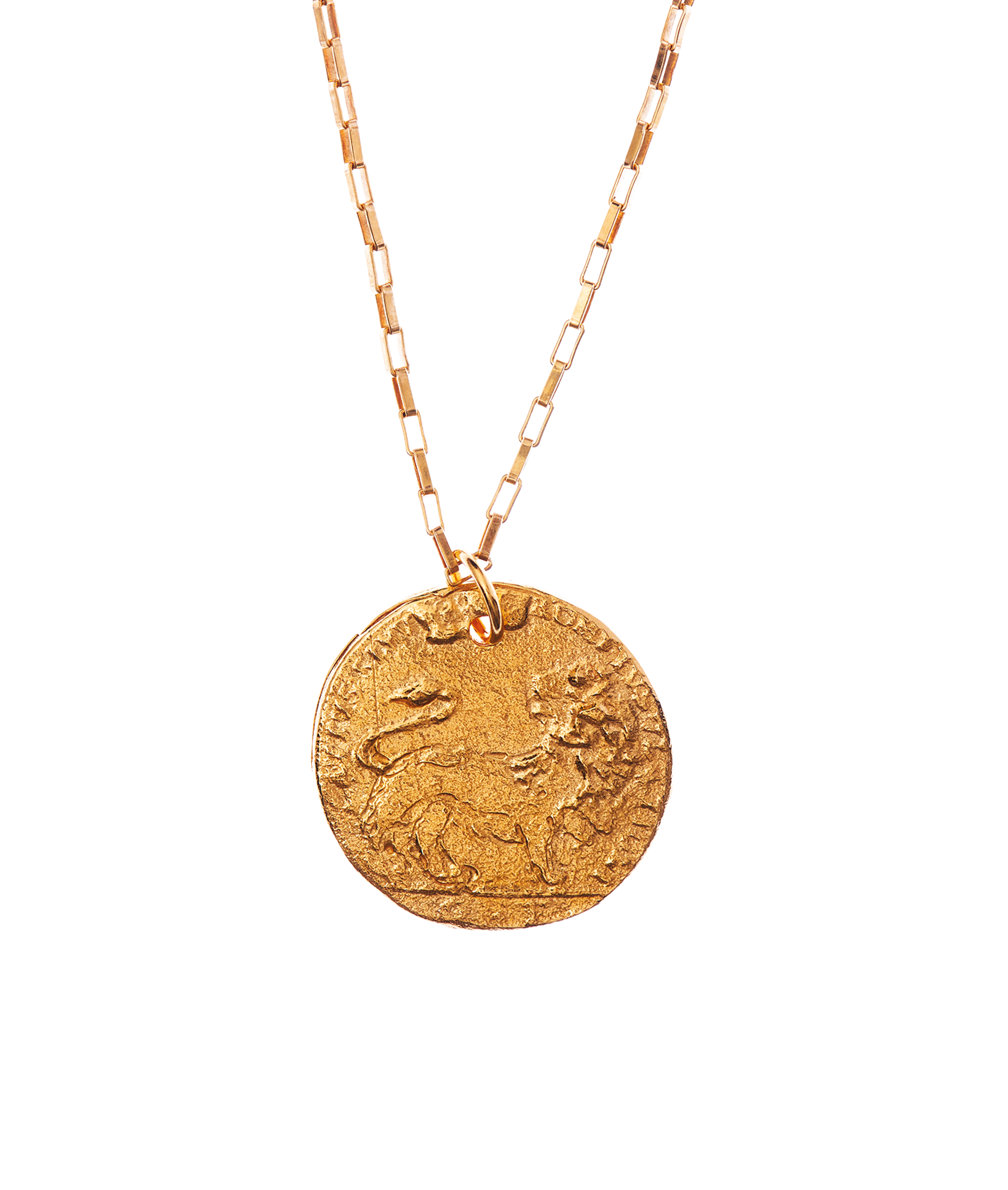 Medium Leone Medallion // Box Chain