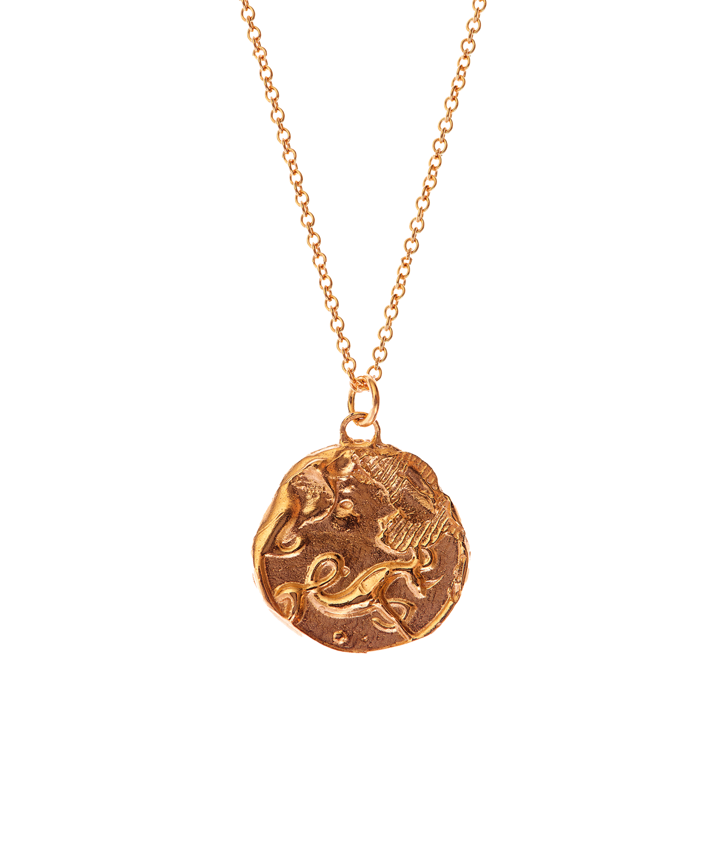 The Capricorn Medallion