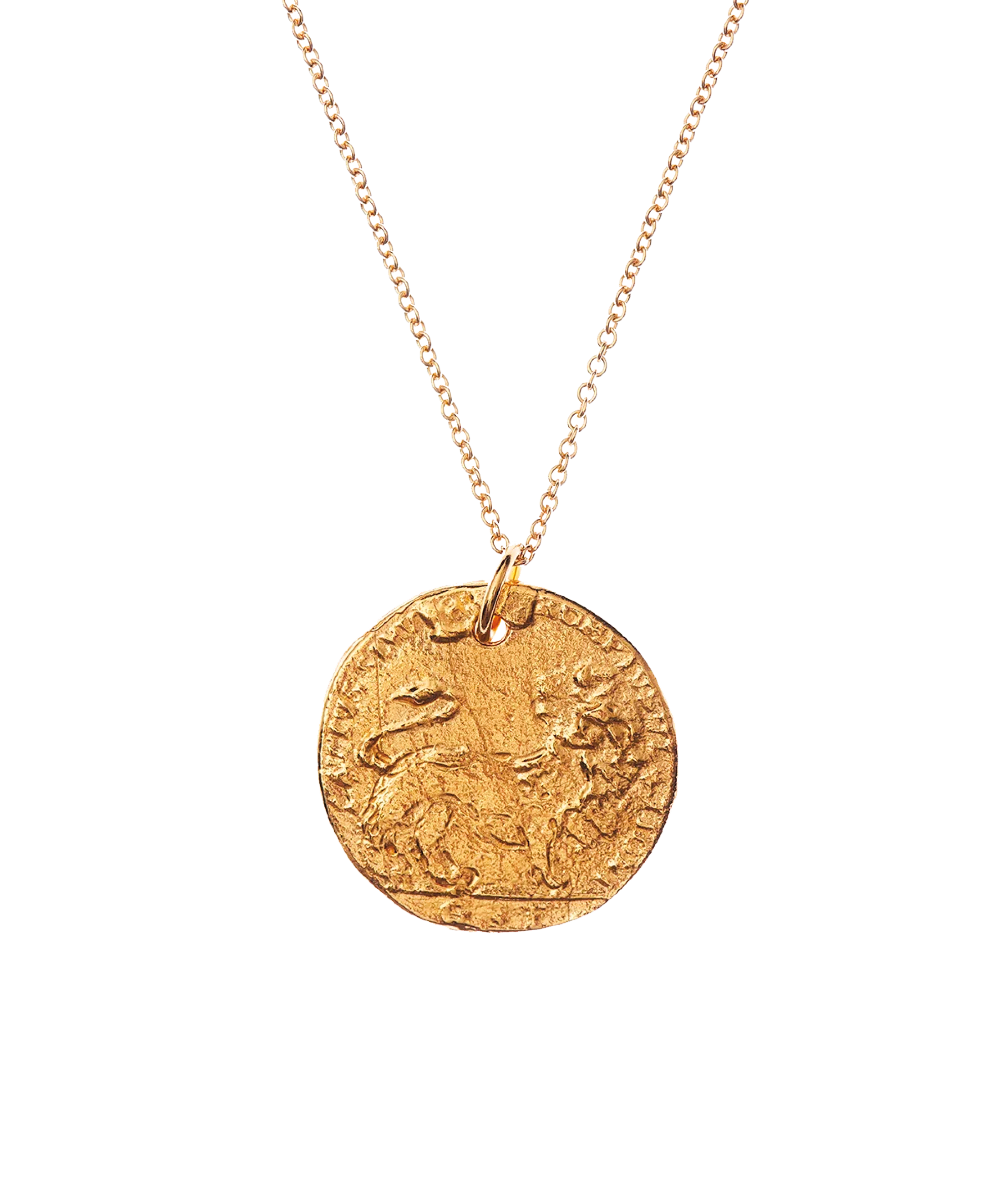 Medium Leone Medallion