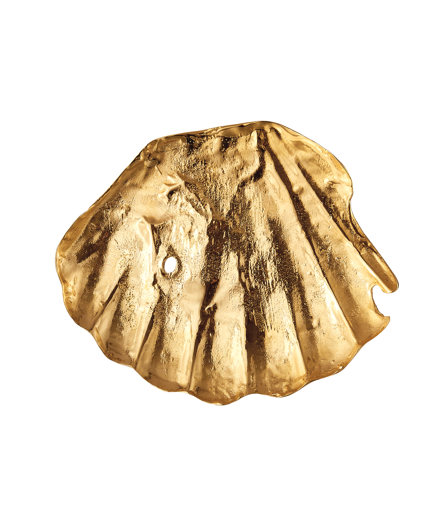 The Shell of Clarity Dish