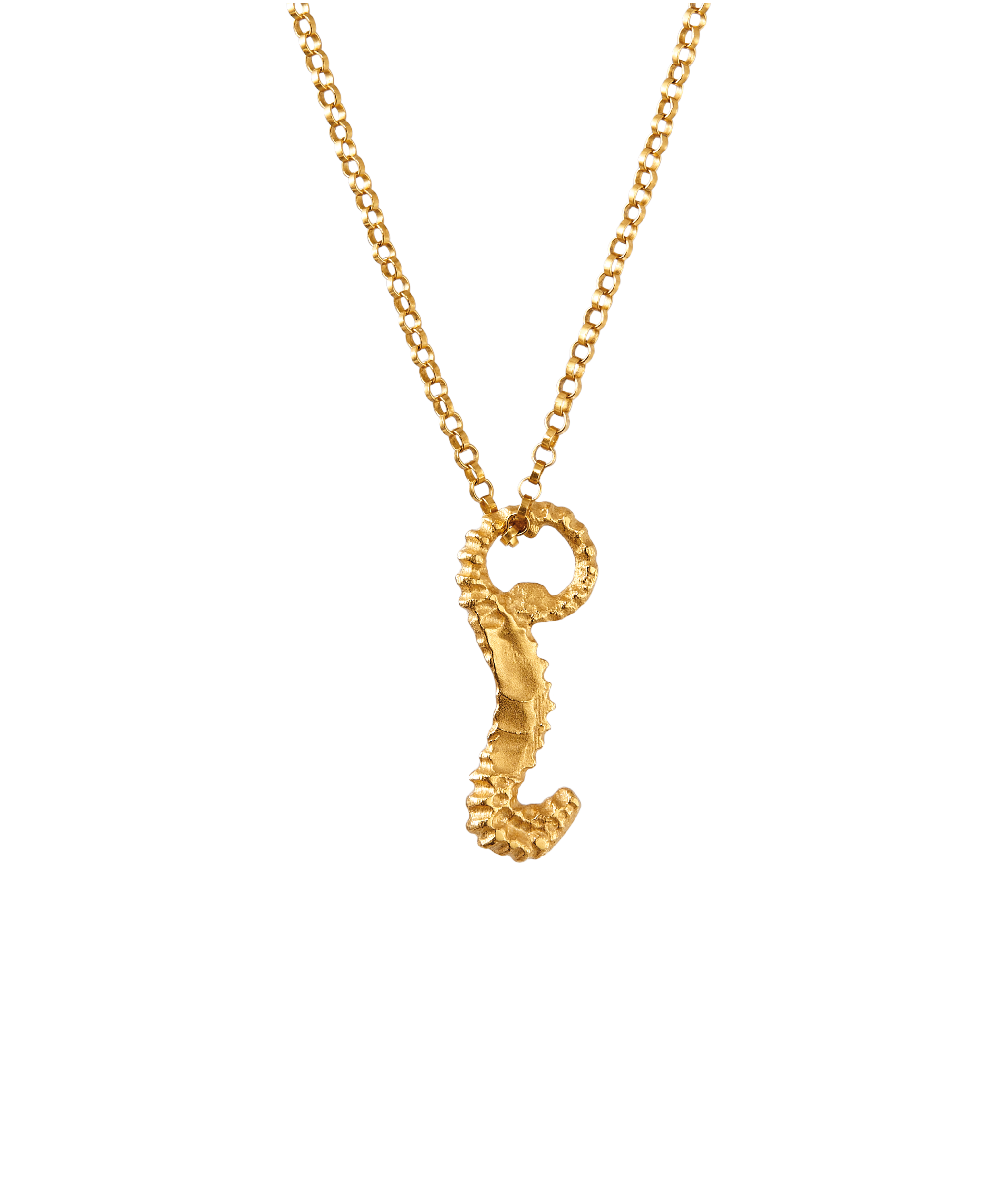 The Elusive Dreamer Necklace